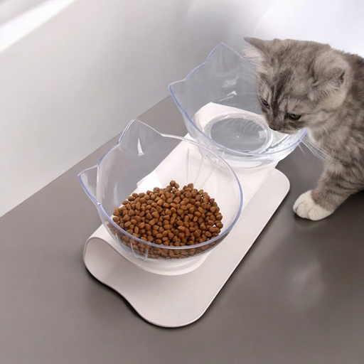 Katzennapf erhöht