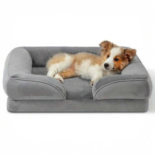 orthopädisches Hundebett