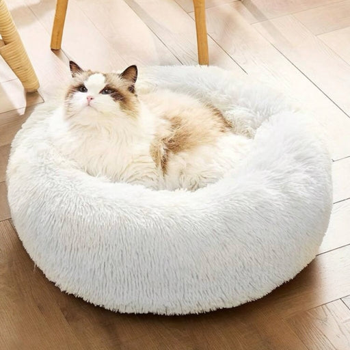 Katzenkissen rund 