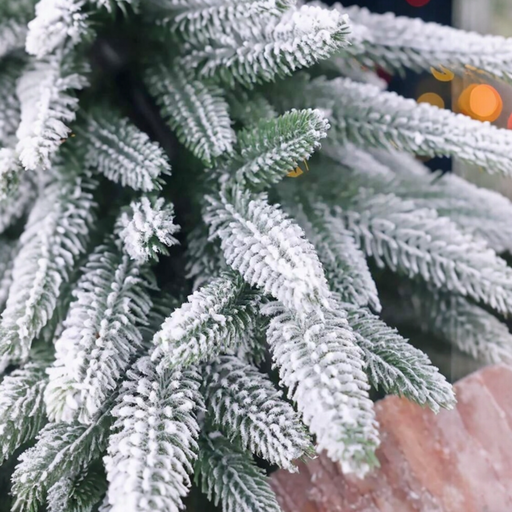Tannenbaum mit Schnee